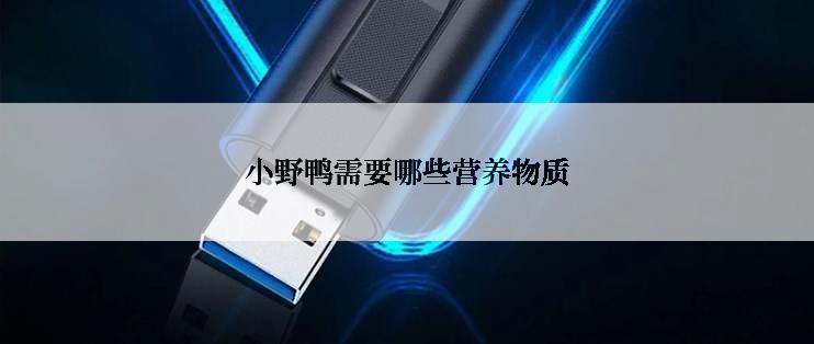 小野鸭需要哪些营养物质