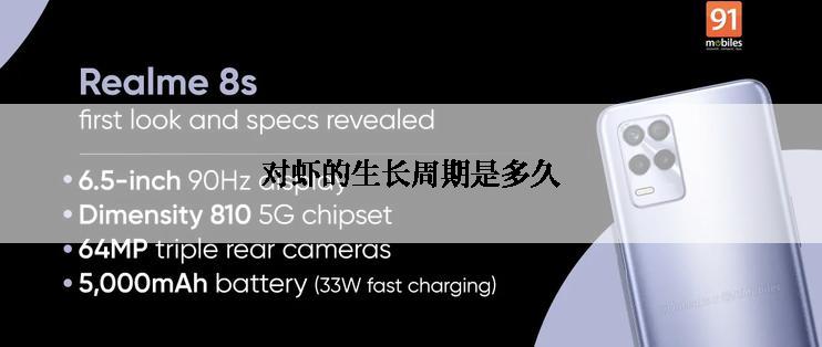 对虾的生长周期是多久