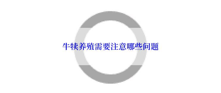 牛犊养殖需要注意哪些问题