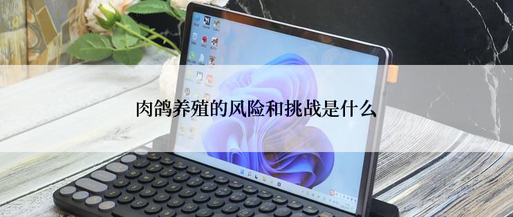 肉鸽养殖的风险和挑战是什么