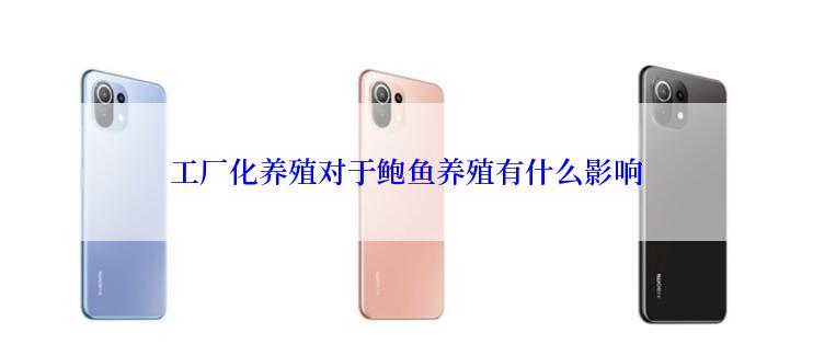 工厂化养殖对于鲍鱼养殖有什么影响