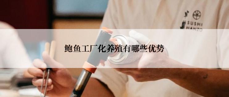 鲍鱼工厂化养殖有哪些优势