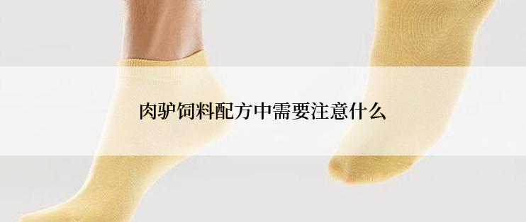 肉驴饲料配方中需要注意什么