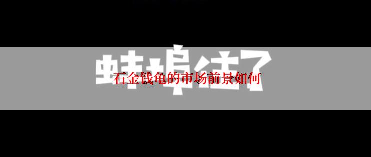  石金钱龟的市场前景如何
