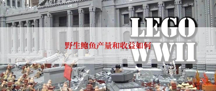 野生鲍鱼产量和收益如何