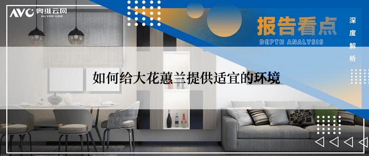  如何给大花蕙兰提供适宜的环境