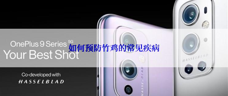 如何预防竹鸡的常见疾病