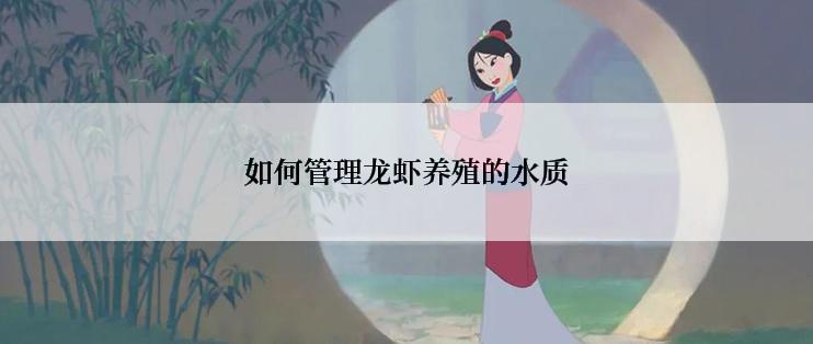 如何管理龙虾养殖的水质