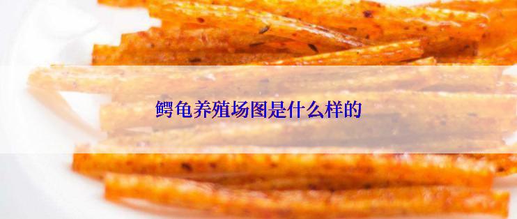 鳄龟养殖场图是什么样的