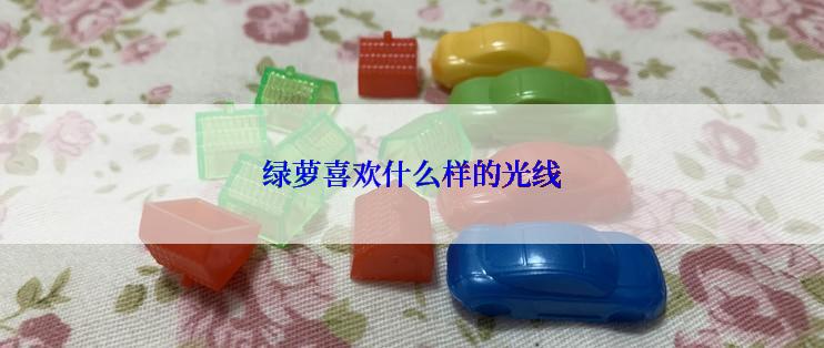 绿萝喜欢什么样的光线