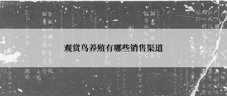 观赏鸟养殖有哪些销售渠道