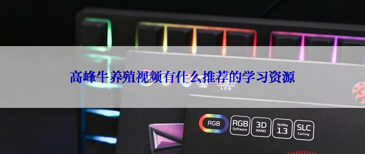 高峰牛养殖视频有什么推荐的学习资源
