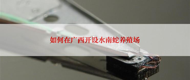 如何在广西开设水南蛇养殖场