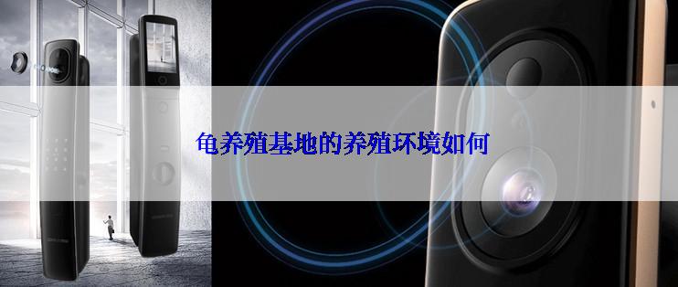 龟养殖基地的养殖环境如何