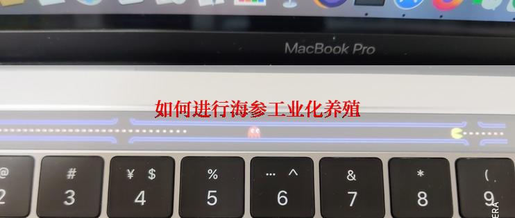 如何进行海参工业化养殖