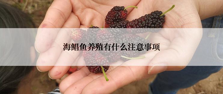 海鲳鱼养殖有什么注意事项