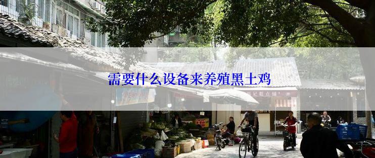  需要什么设备来养殖黑土鸡