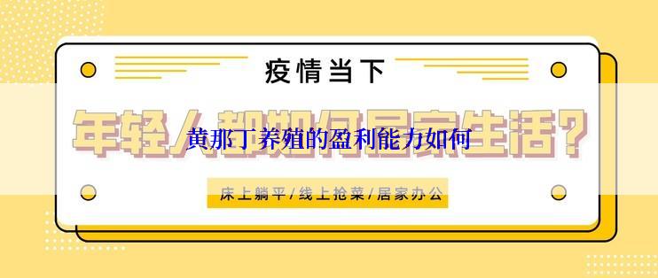 黄那丁养殖的盈利能力如何