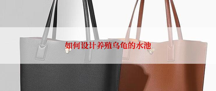 如何设计养殖乌龟的水池
