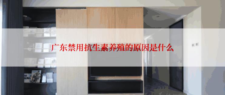 广东禁用抗生素养殖的原因是什么