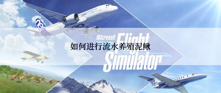 如何进行流水养殖泥鳅