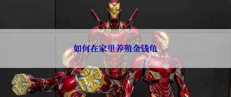如何在家里养殖金钱龟