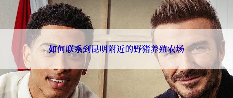 如何联系到昆明附近的野猪养殖农场