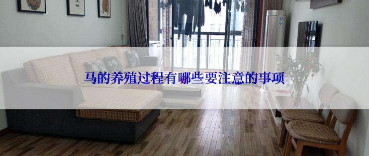 马的养殖过程有哪些要注意的事项