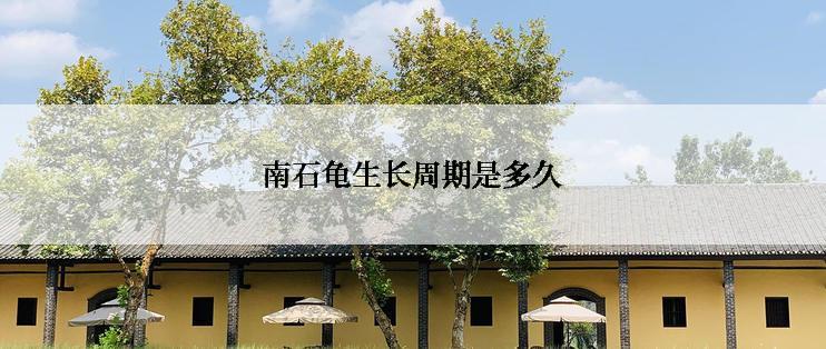 南石龟生长周期是多久