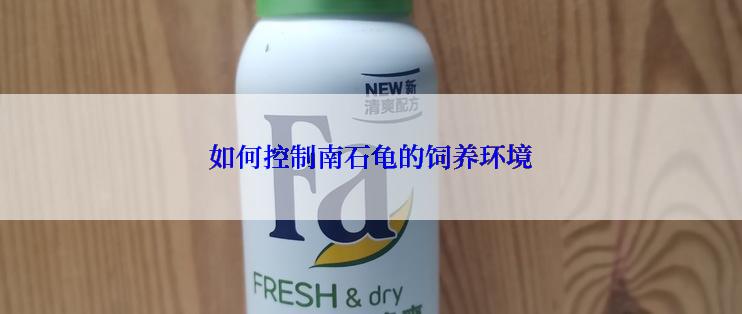 如何控制南石龟的饲养环境