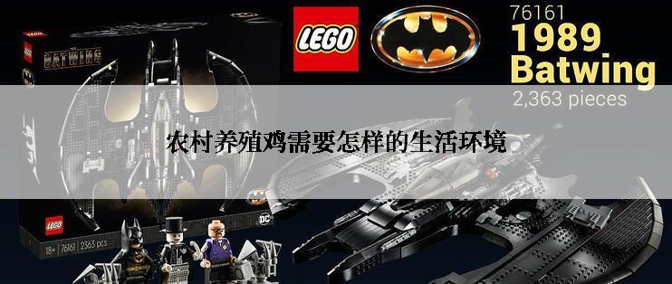 农村养殖鸡需要怎样的生活环境