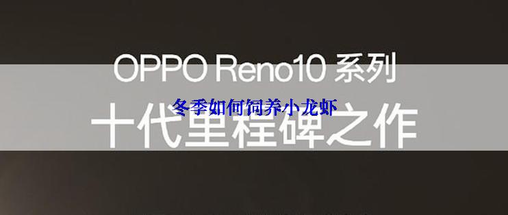 冬季如何饲养小龙虾