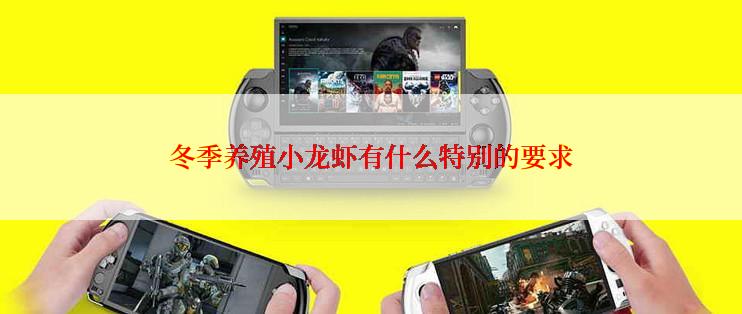 冬季养殖小龙虾有什么特别的要求