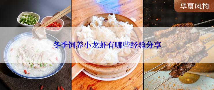 冬季饲养小龙虾有哪些经验分享