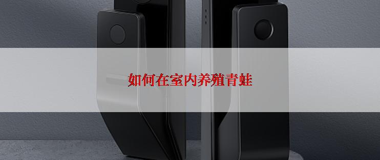 如何在室内养殖青蛙