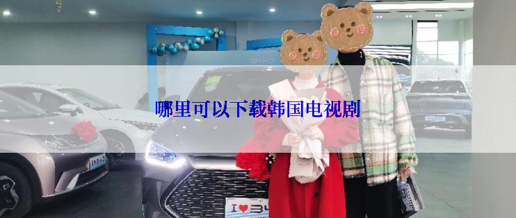哪里可以下载韩国电视剧