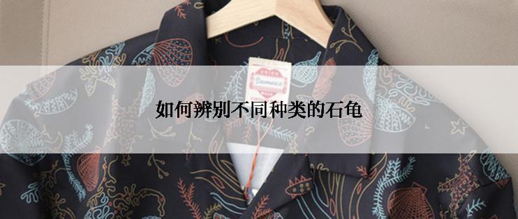 如何辨别不同种类的石龟