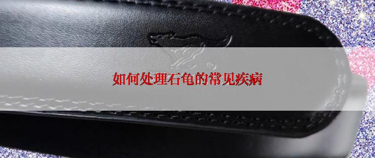 如何处理石龟的常见疾病