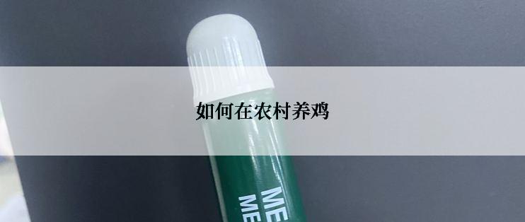 如何在农村养鸡