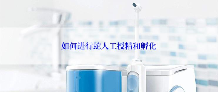 如何进行蛇人工授精和孵化