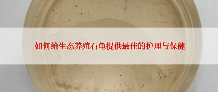  如何给生态养殖石龟提供最佳的护理与保健