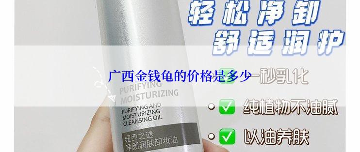 广西金钱龟的价格是多少