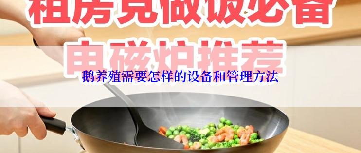 鹅养殖需要怎样的设备和管理方法