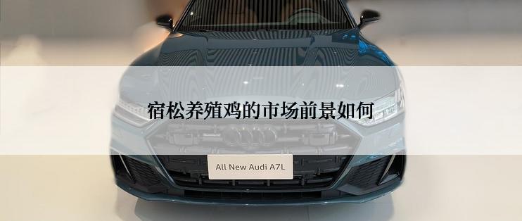 宿松养殖鸡的市场前景如何