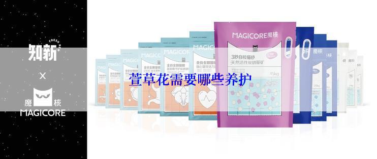  萱草花需要哪些养护