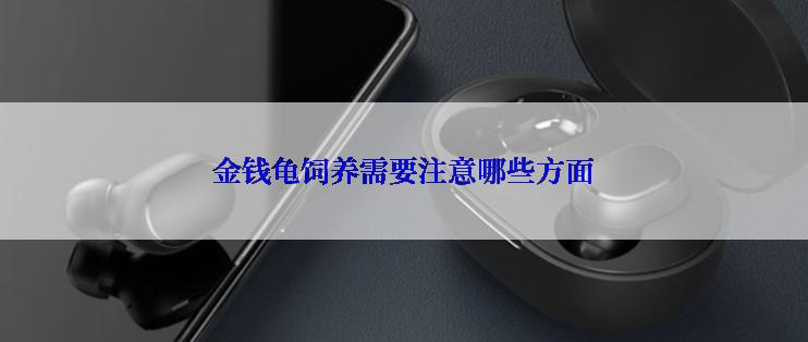 金钱龟饲养需要注意哪些方面