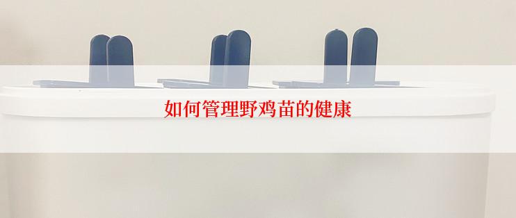 如何管理野鸡苗的健康