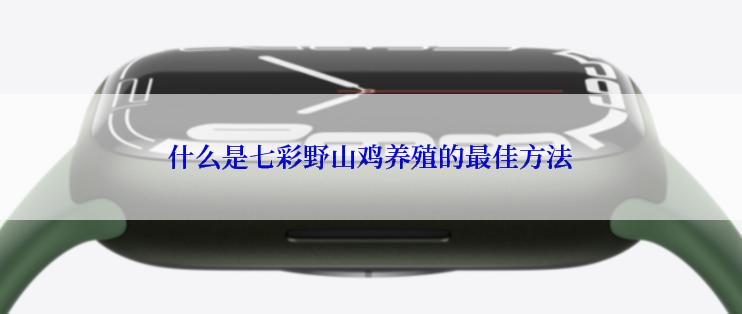 什么是七彩野山鸡养殖的最佳方法