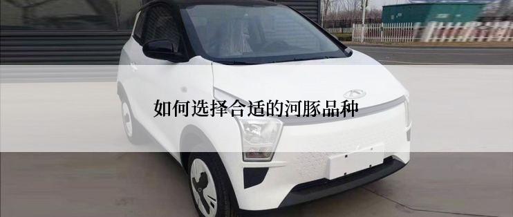 如何选择合适的河豚品种