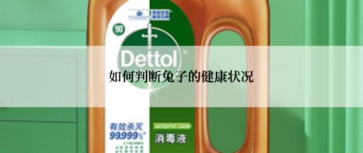 如何判断兔子的健康状况